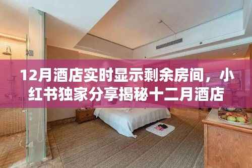 揭秘十二月酒店实时房态显示秘籍,小红书独家分享,轻松预订心仪住宿!