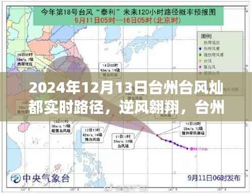 台州与台风灿都的逆风翱翔,励志故事与实时路径追踪报道
