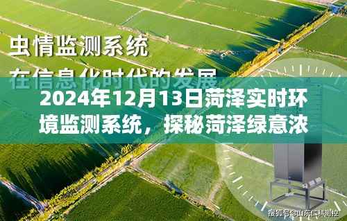 探秘菏泽绿意浓时，实时环境监测系统邀您共赏自然之美