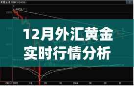 揭秘黄金走势，12月外汇黄金实时行情分析与解读三大要点