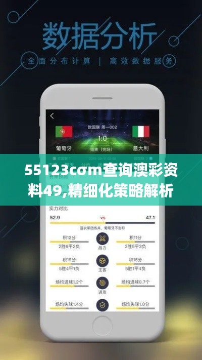 55123cσm查询澳彩资料49,精细化策略解析_S2.281