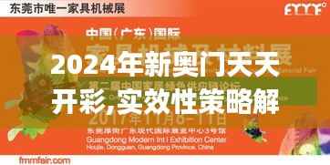 2024年新奥门天天开彩,实效性策略解读_网页款1.738