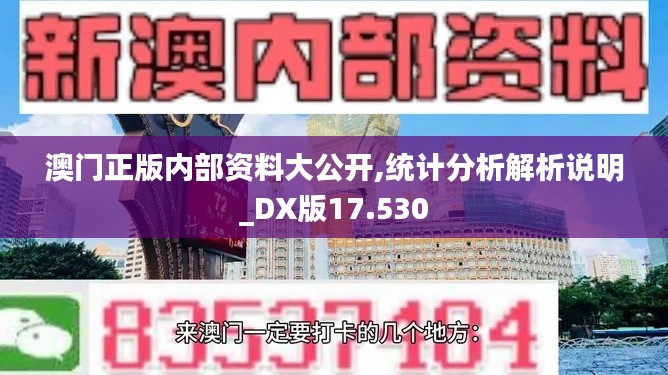 澳门正版内部资料大公开,统计分析解析说明_DX版17.530