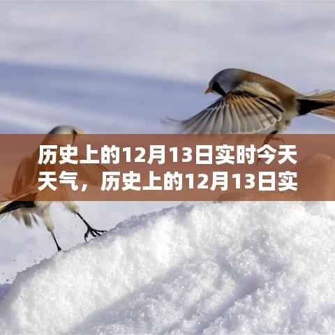 历史上的12月13日实时天气对比科普,今日天气回顾与前瞻