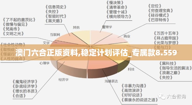 澳门六合正版资料,稳定计划评估_专属款8.559
