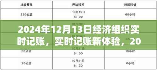 2024年经济组织实时记账软件评测,新体验下的记账革新