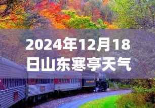 山东寒亭天气预报下的美食惊喜之旅,小巷深处的暖意饗堂探秘