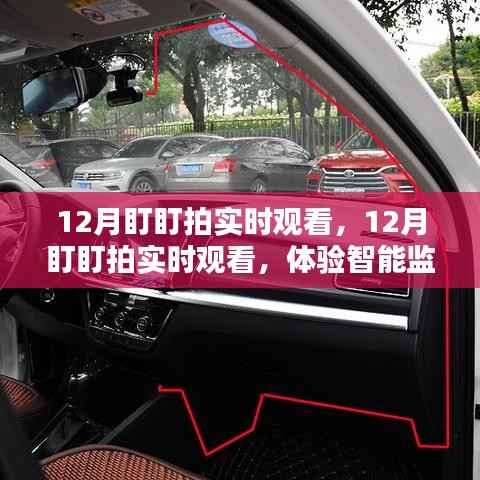 体验智能监控的魅力,12月盯盯拍实时观看