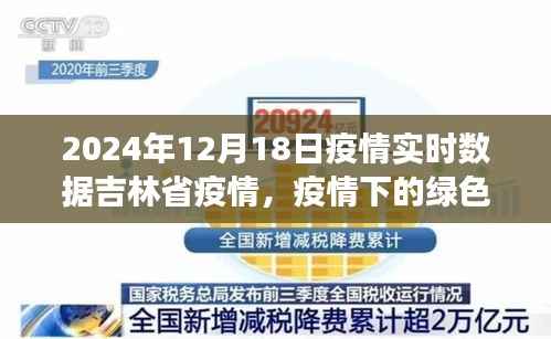 吉林省疫情下的绿色避风港与心灵宁静的自然探索之旅(实时数据更新)