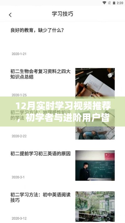 12月学习视频推荐,适合初学者与进阶用户的实时学习指南