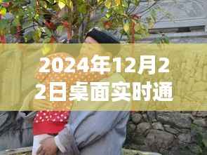 冬日暖话,桌面上的温馨通话时光