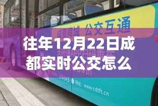 解析,往年12月22日成都实时公交信息缺失现象探究