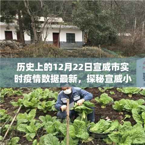宣威市实时疫情数据更新,十二月二十二日特色环境之旅与小店的探秘之旅