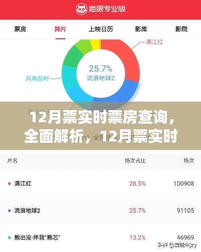 全面解析与深度评测,12月票实时票房查询应用
