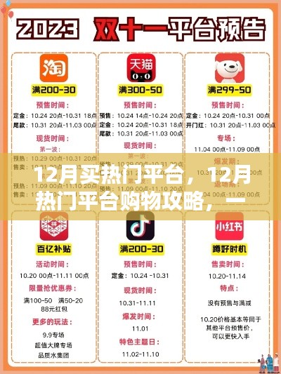 12月购物攻略,热门平台挑选与心仪商品购买指南