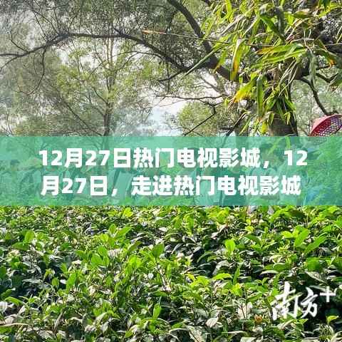 12月27日热门电视影城,探寻变化中的学习之旅,播种自信的种子