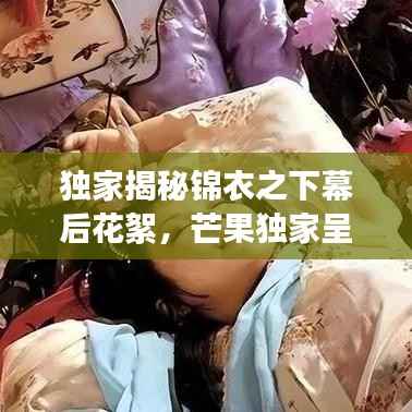 独家揭秘锦衣之下幕后花絮,芒果独家呈现,探寻神秘面纱!