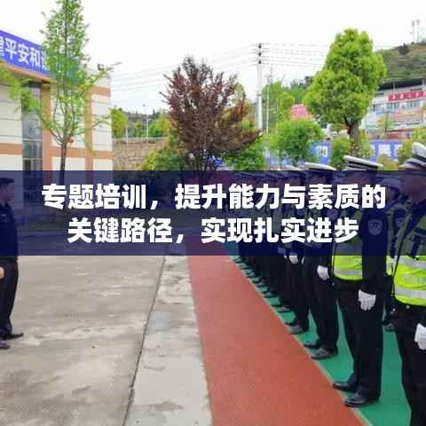 专题培训,提升能力与素质的关键路径,实现扎实进步