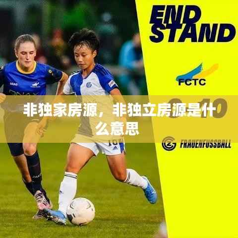 非独家房源,非独立房源是什么意思