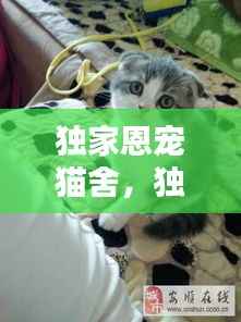 独家恩宠猫舍,独家宠爱是什么意思