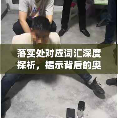 落实处对应词汇深度探析,揭示背后的奥秘