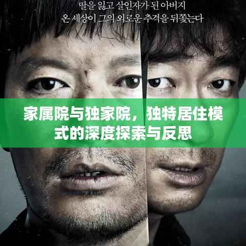 家属院与独家院,独特居住模式的深度探索与反思