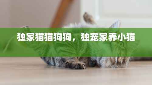 贵冠履轻头足 第3页