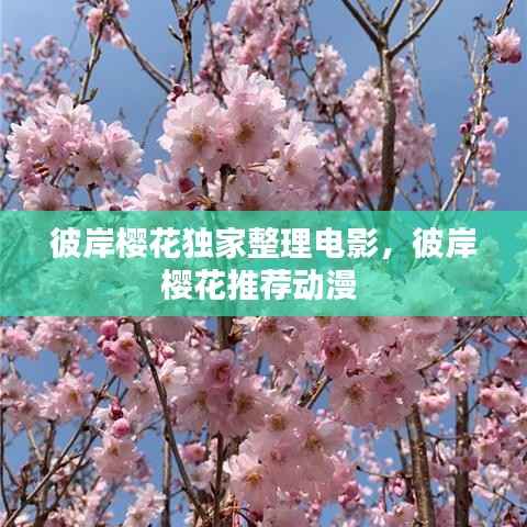 彼岸樱花独家整理电影,彼岸樱花推荐动漫