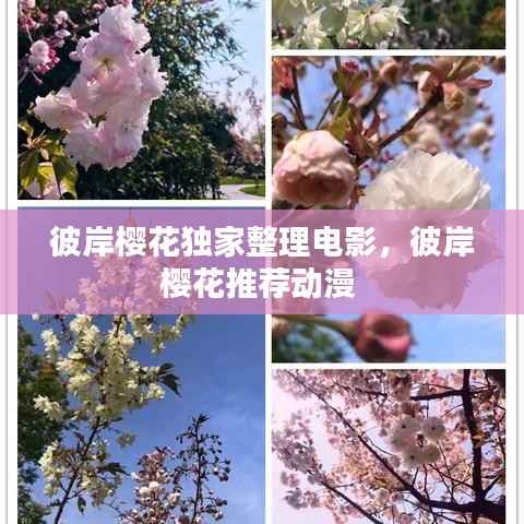 彼岸樱花独家整理电影,彼岸樱花推荐动漫