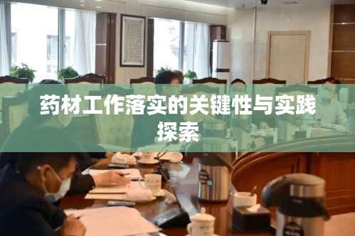 药材工作落实的关键性与实践探索