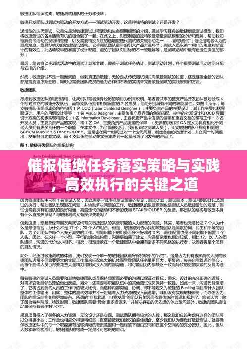 催报催缴任务落实策略与实践,高效执行的关键之道