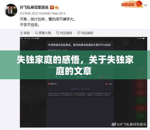 衣不兼彩 第3页