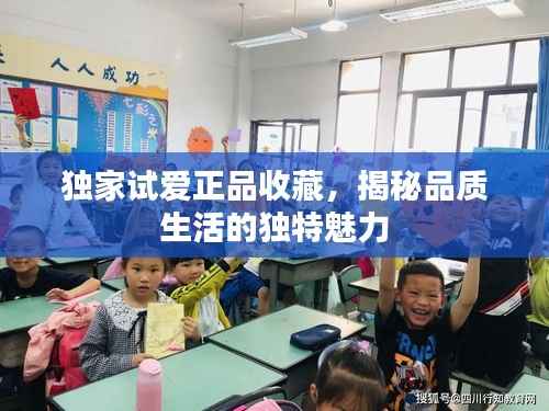 独家试爱正品收藏,揭秘品质生活的独特魅力