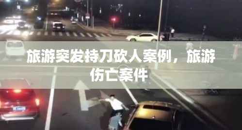 旅游突发持刀砍人案例,旅游伤亡案件