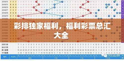 彩排独家福利,福利彩票总汇大全