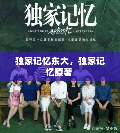 独家记忆东大,独家记忆原著