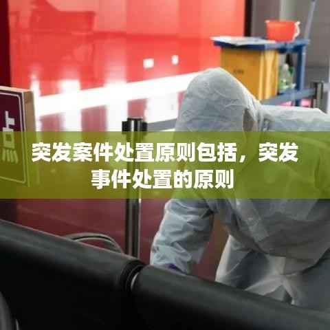 突发案件处置原则包括,突发事件处置的原则