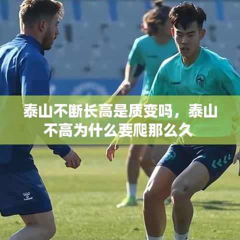 泰山不断长高是质变吗,泰山不高为什么要爬那么久