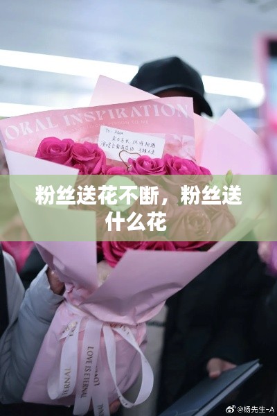 粉丝送花不断,粉丝送什么花