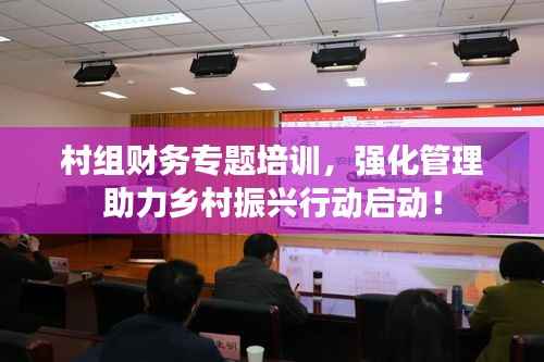 村组财务专题培训,强化管理助力乡村振兴行动启动!