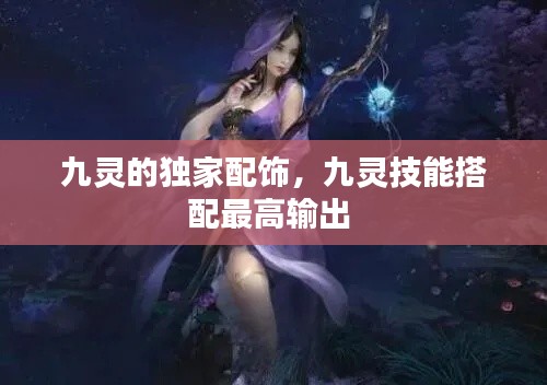 九灵的独家配饰，九灵技能搭配最高输出 