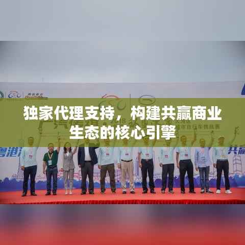 独家代理支持，构建共赢商业生态的核心引擎