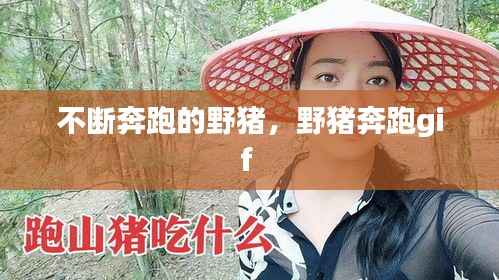 不断奔跑的野猪,野猪奔跑gif