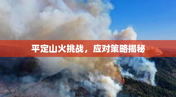 平定山火挑战,应对策略揭秘