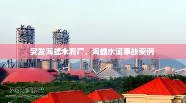 突发海螺水泥厂,海螺水泥事故案例