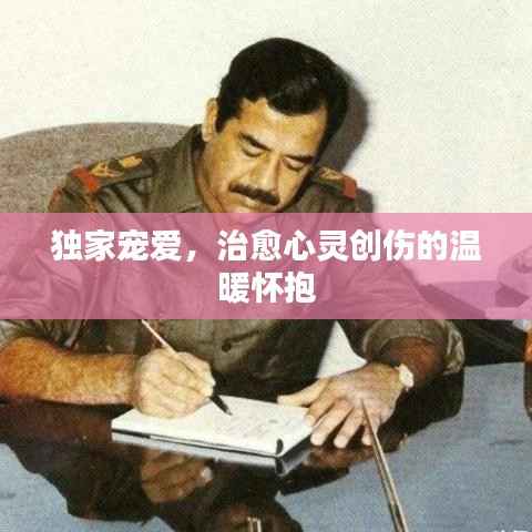 独家宠爱,治愈心灵创伤的温暖怀抱