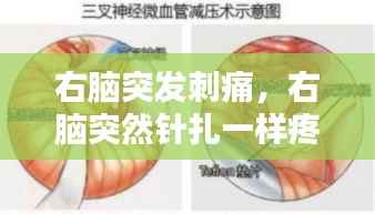 右脑突发刺痛,右脑突然针扎一样疼