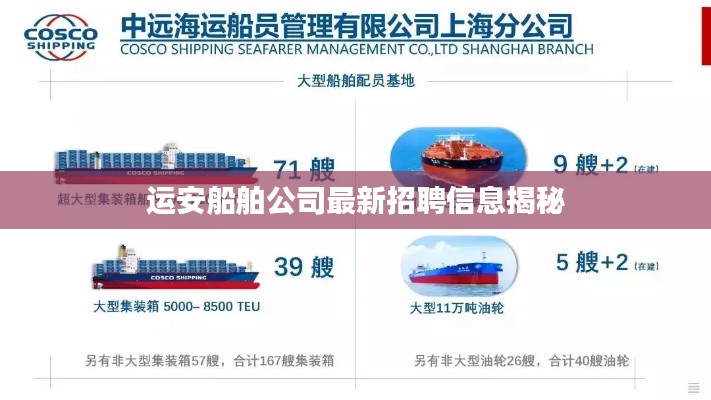 运安船舶公司最新招聘信息揭秘