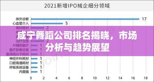 咸宁舞蹈公司排名揭晓,市场分析与趋势展望