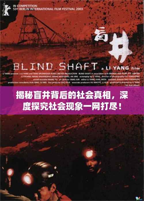 揭秘盲井背后的社会真相，深度探究社会现象一网打尽！